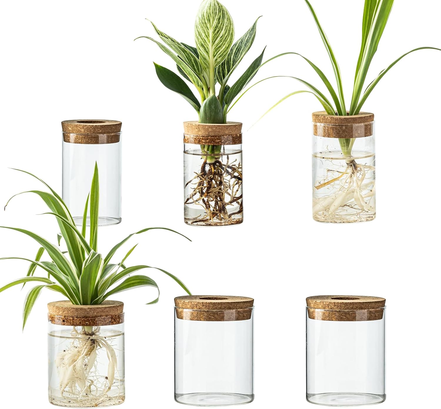 Bud Vases & Small Vessels